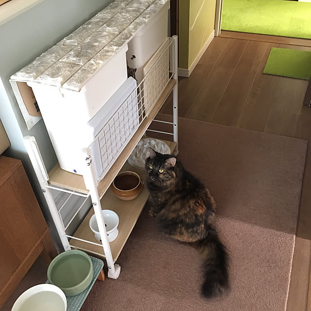 mikomaruさんの実例写真