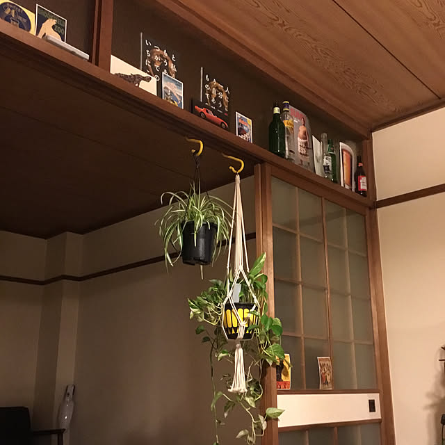 tamaさんの実例写真