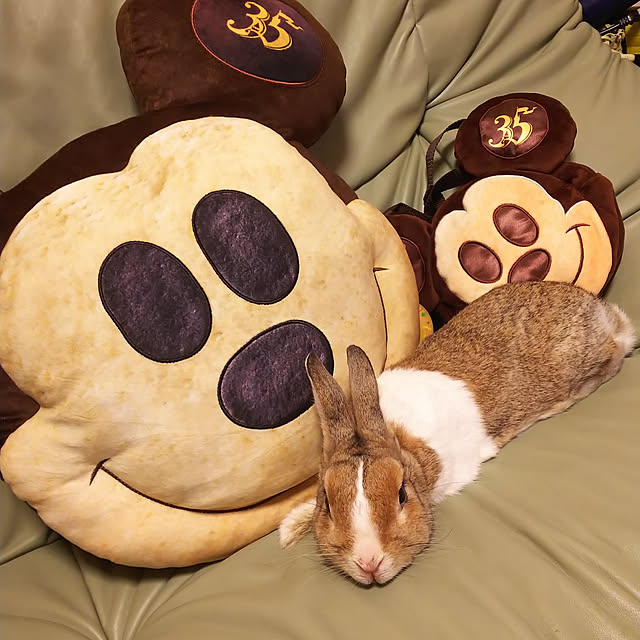 yomogiさんの実例写真