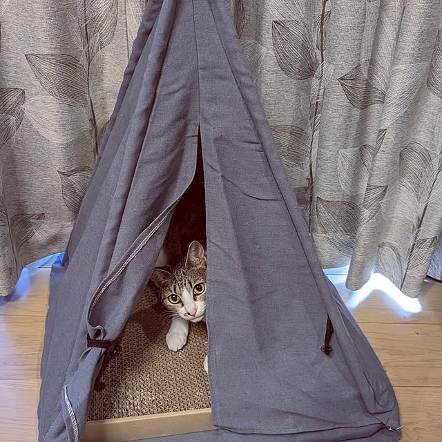 miyabiさんの実例写真