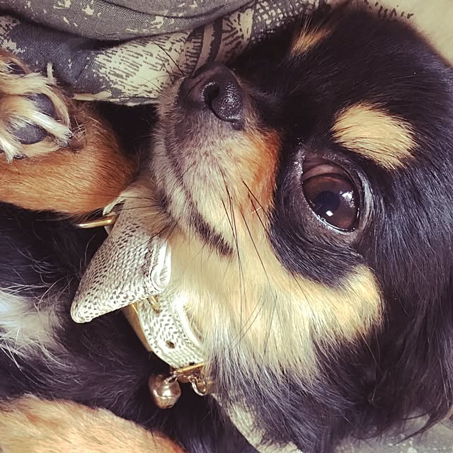 halさんの実例写真
