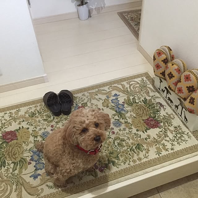 Kazuminさんの実例写真