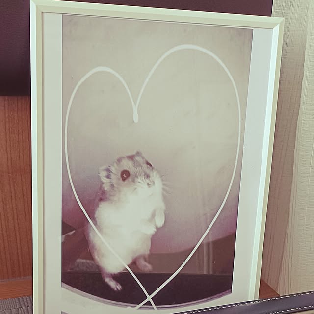 potetloveさんの実例写真