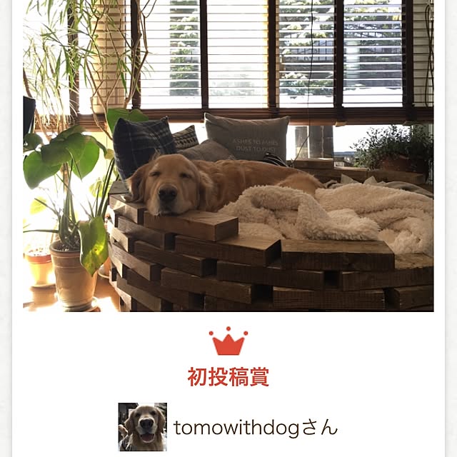 tomowithdogさんの実例写真