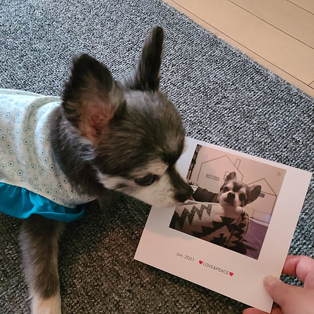 lovepeaceさんの実例写真