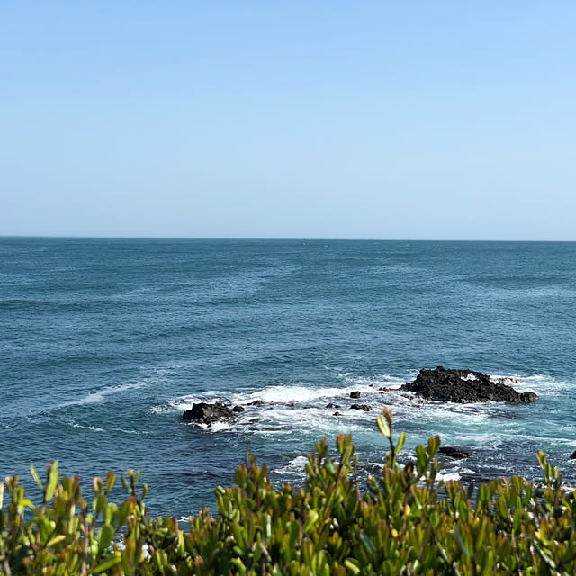 miyagawa3さんの部屋