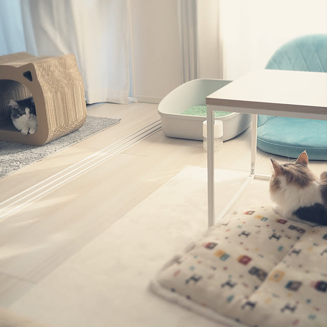 Ciel_and_Noelさんの実例写真