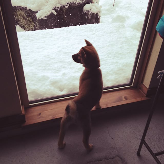 Etsukoさんの実例写真