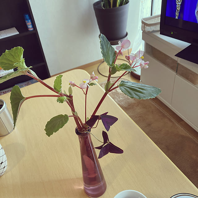 reeさんの実例写真