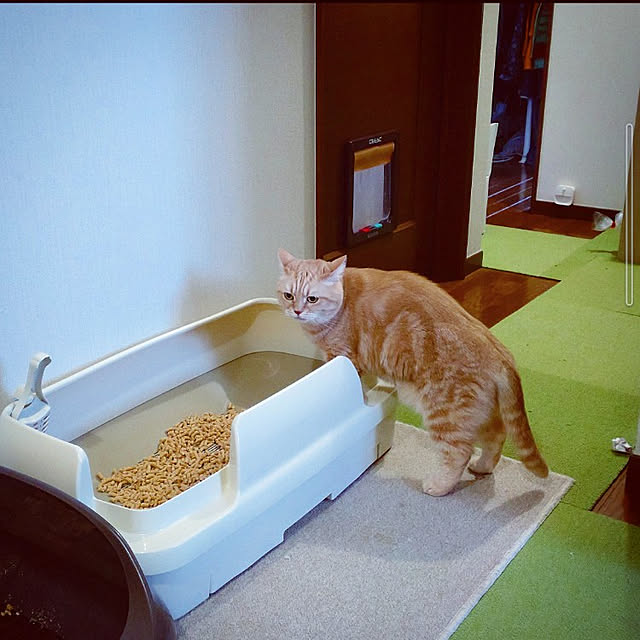 mntcさんの実例写真