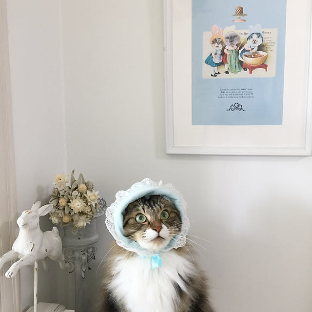 yuchiさんの実例写真