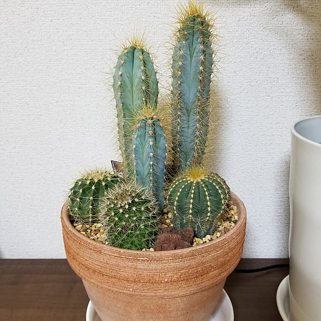 実例写真