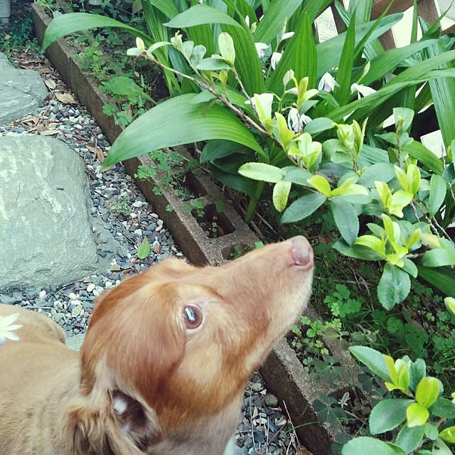 satoさんの実例写真