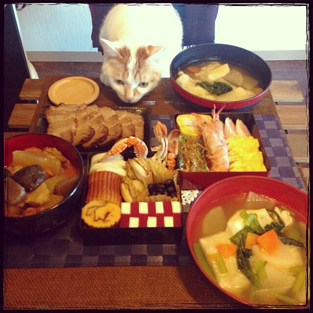 Mayuさんの実例写真