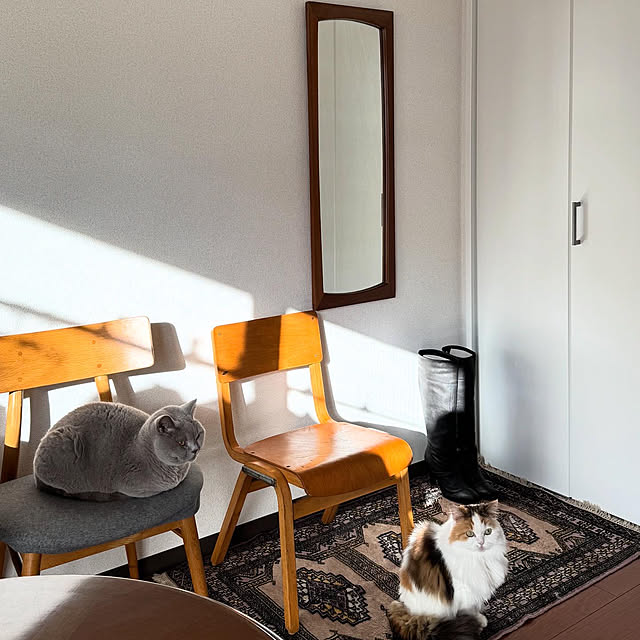 chulashihoさんの実例写真