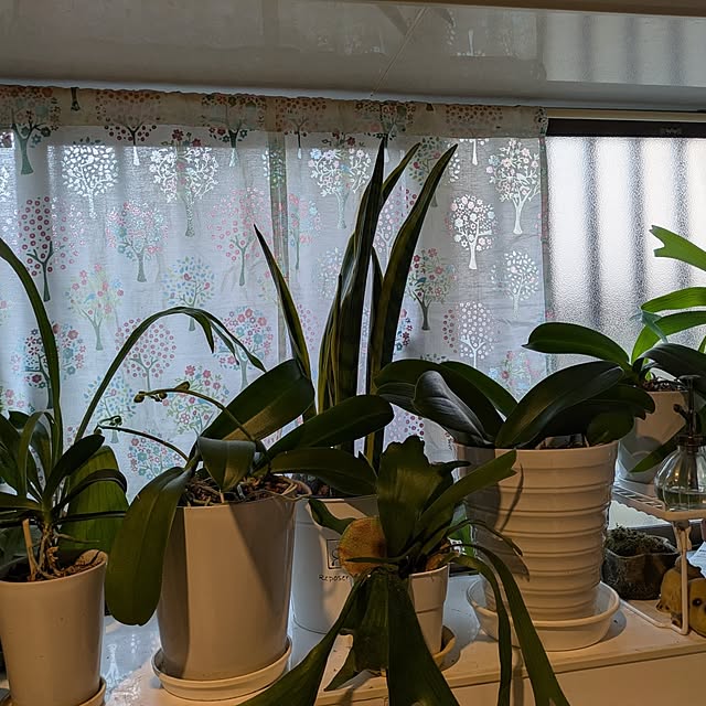 Yoshie1911さんの部屋