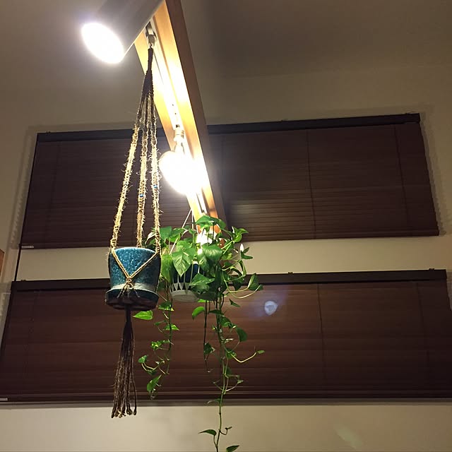 you.sansさんの実例写真