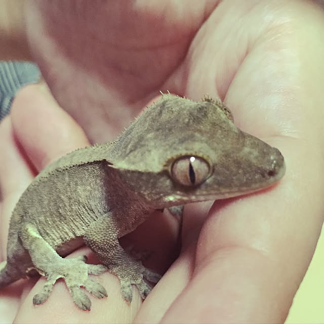 namikoさんの実例写真