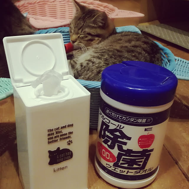 Maki-nekomamireさんの実例写真