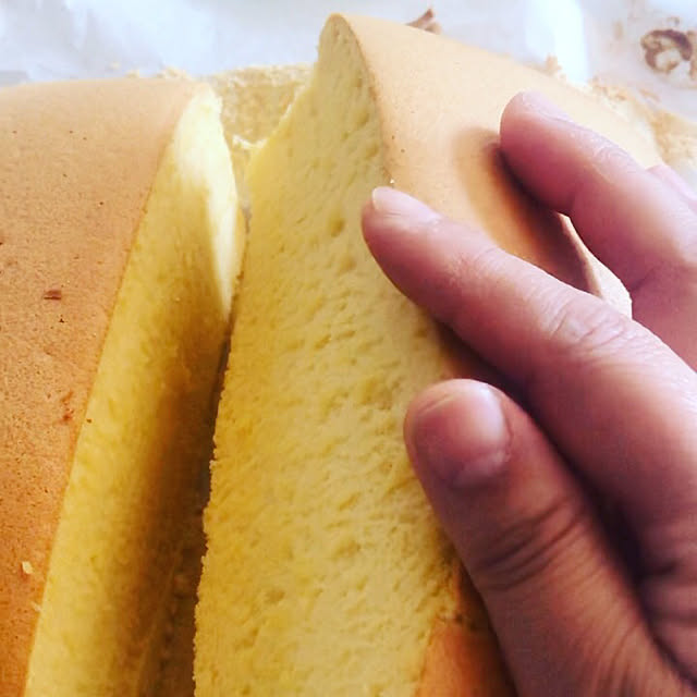 実例写真