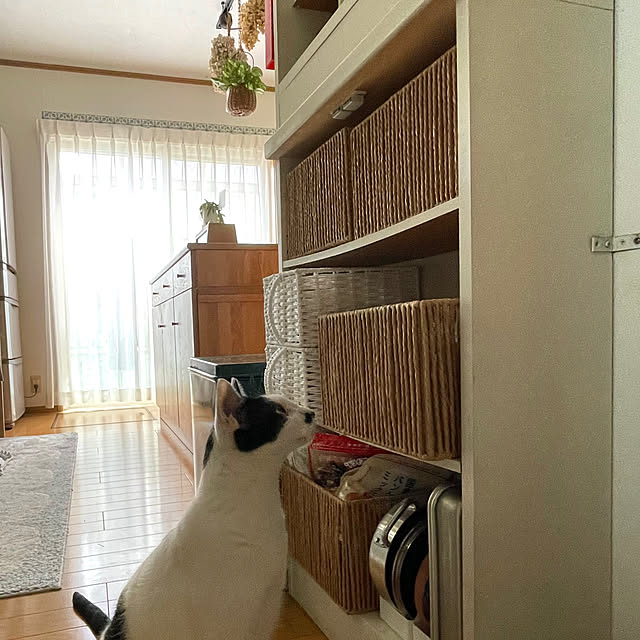 nobikoさんの部屋