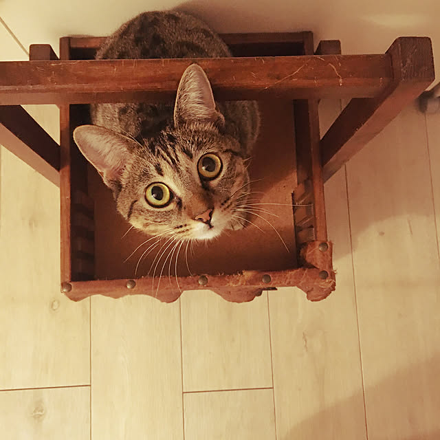 Mさんの実例写真