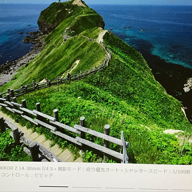 実例写真