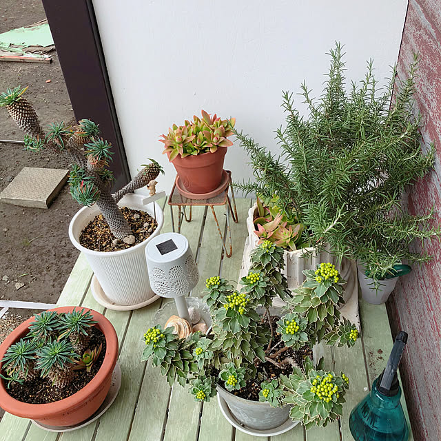 Malamaさんの実例写真