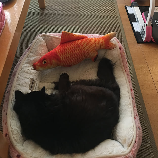 kanaさんの実例写真