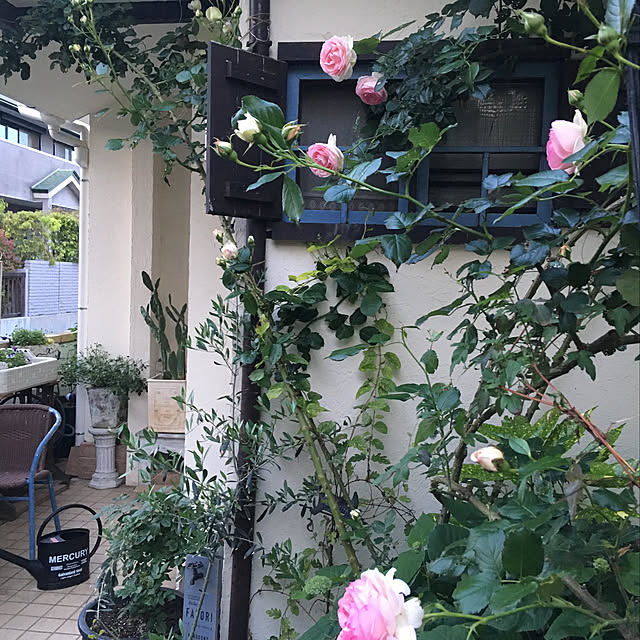実例写真