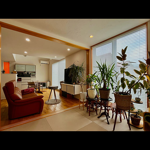 tamabaka1971さんの部屋