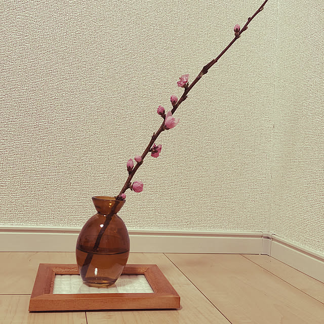 momomoさんの実例写真
