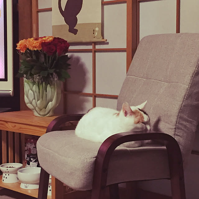 yocchiさんの実例写真