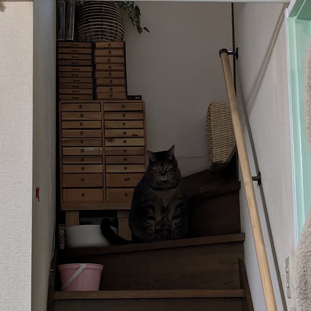 mori_6_12さんの部屋