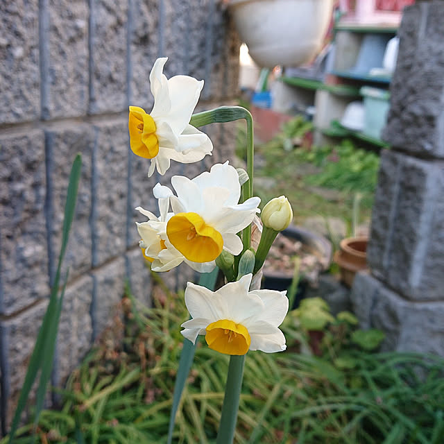 kyonさんの実例写真