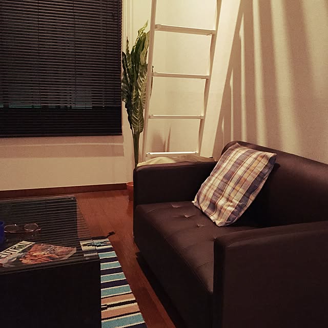 部屋全体のインテリア実例 - 2015-05-29 02:41:51