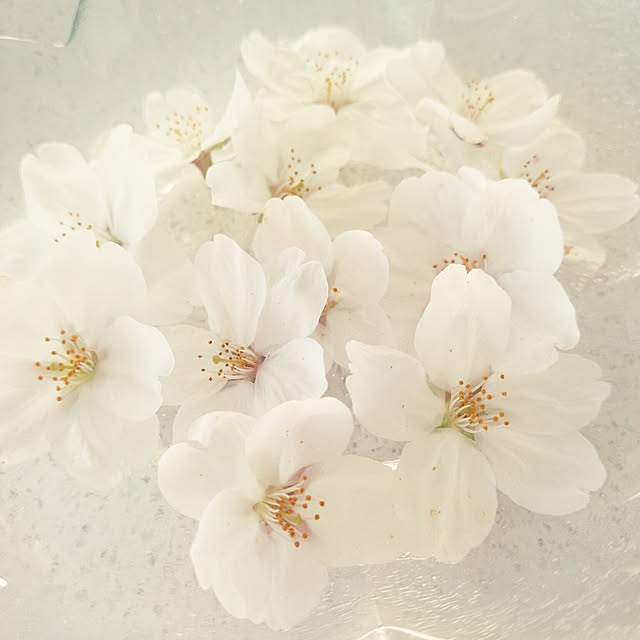 shinoo94さんの実例写真