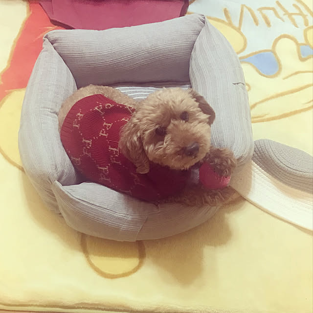 Keikoさんの実例写真