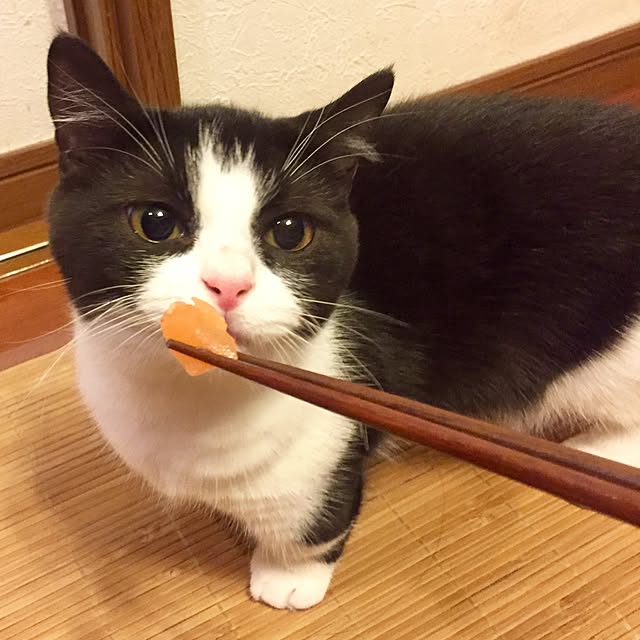butachanさんの実例写真