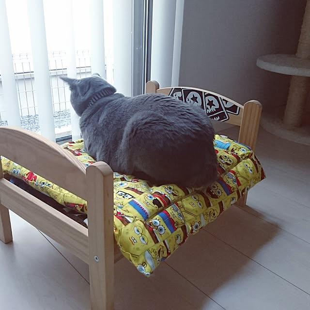 koalapinkさんの実例写真