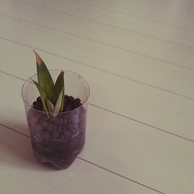 yun0603さんの実例写真