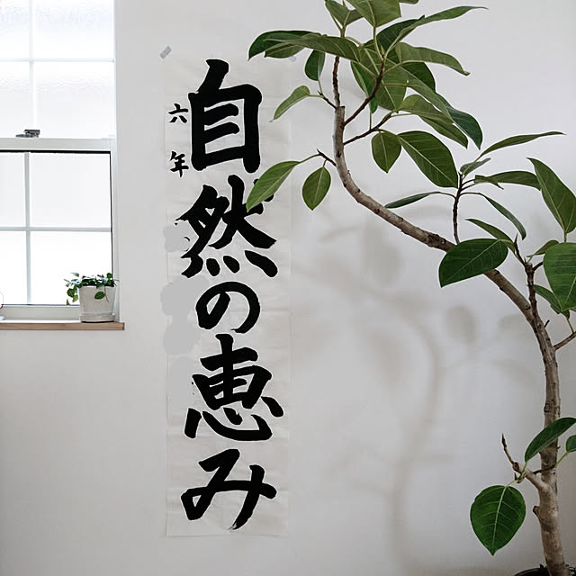 comiriさんの実例写真