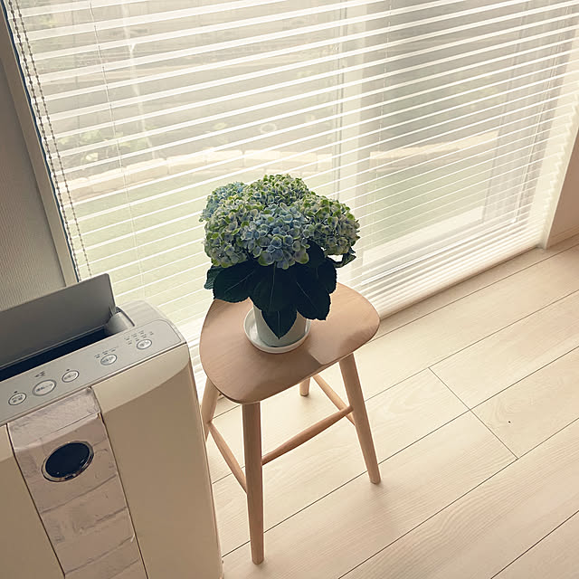 Haruさんの部屋