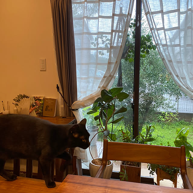 taakoさんの部屋