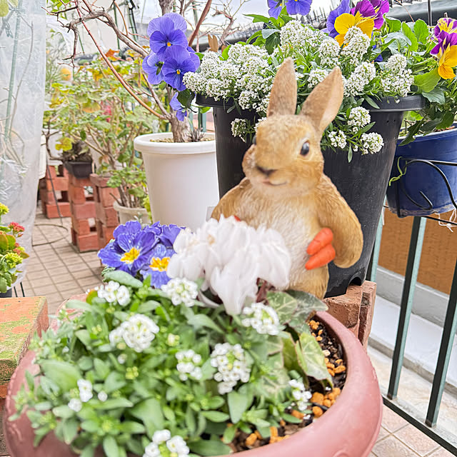 Aqettyさんの部屋