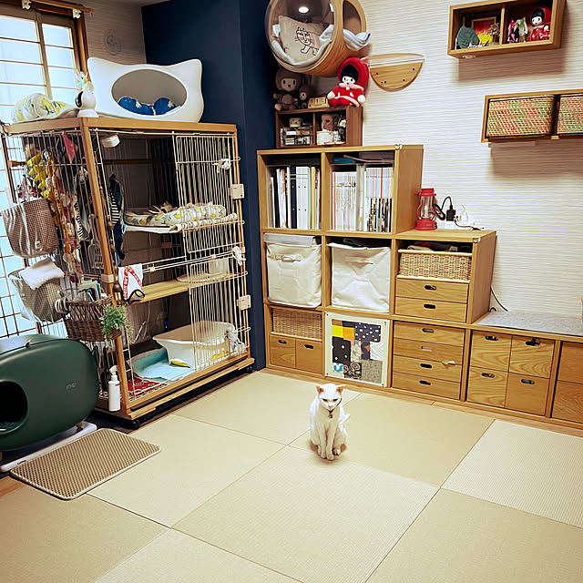 hanaさんの実例写真
