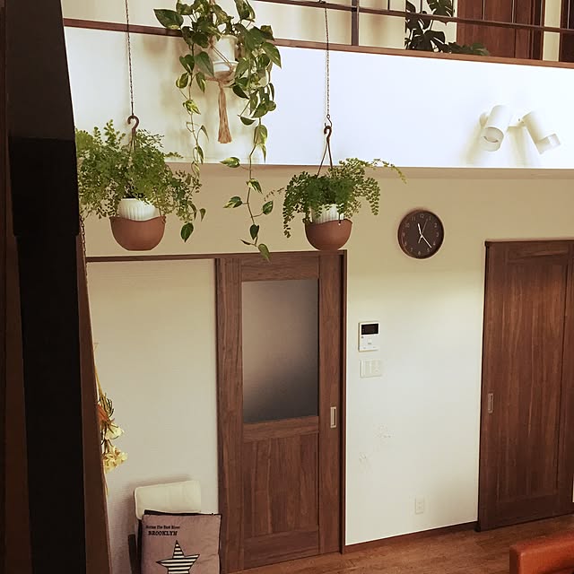 pecoさんの実例写真