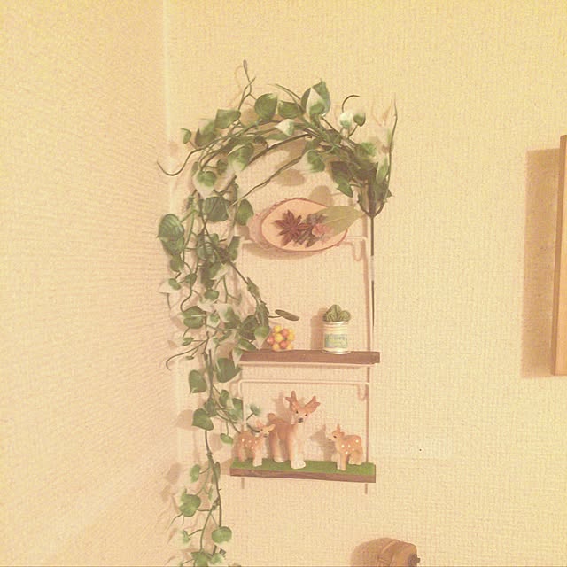 kojiro120513さんの実例写真