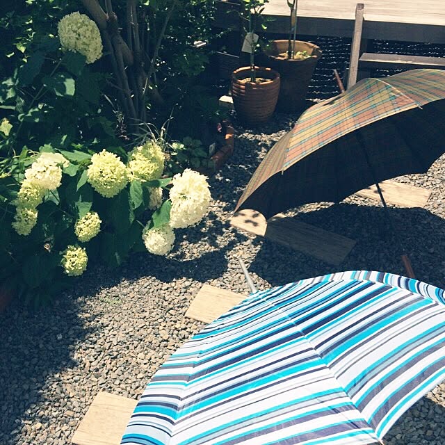 spicaさんの実例写真