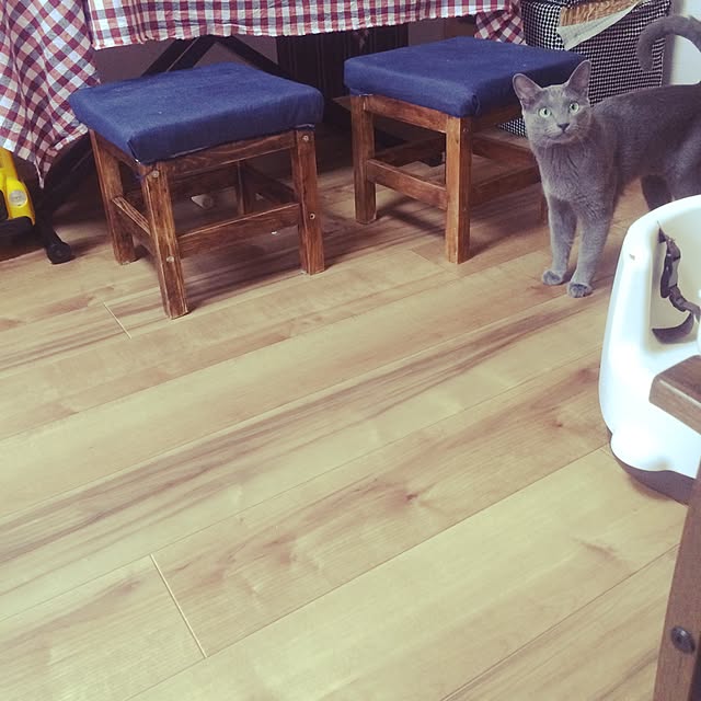 mochiさんの実例写真